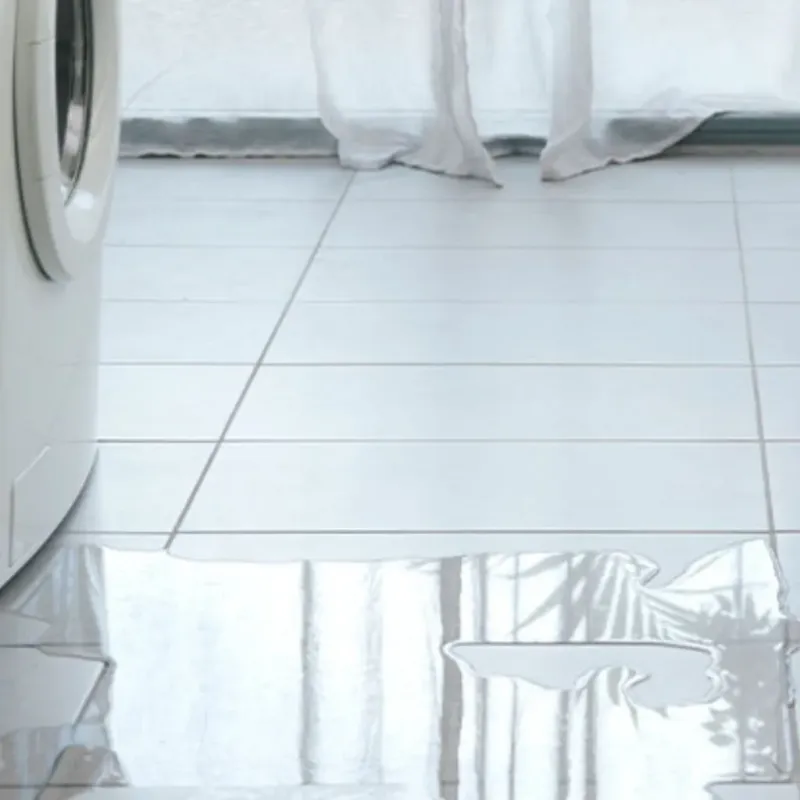 Appliance Leak Cleanup in Sulphur Springs, AR